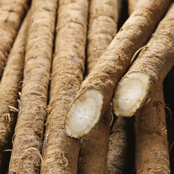 Burdock Root