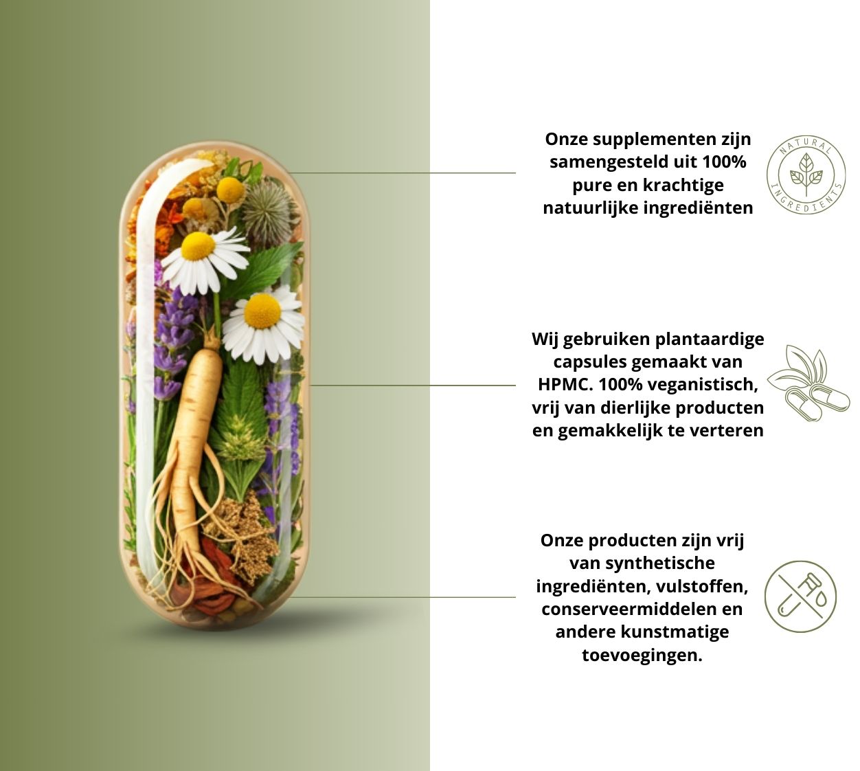 Nullifying Herbs natuurlijke supplementen natuurlijke ingredienten vrij van synthetische stoffen in plantaardige capsules