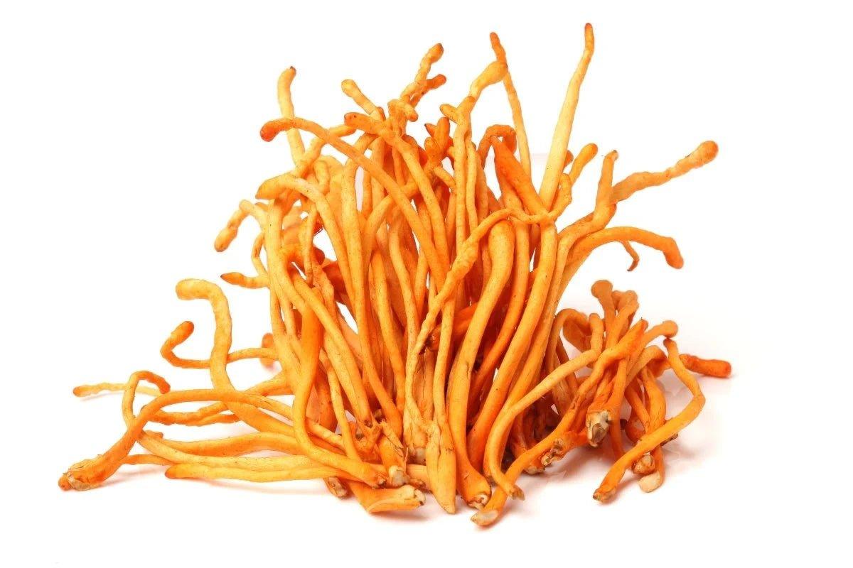 Cordyceps - Nullifying Herbs