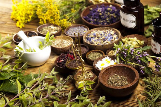 De natuur als medicijn - Nullifying Herbs