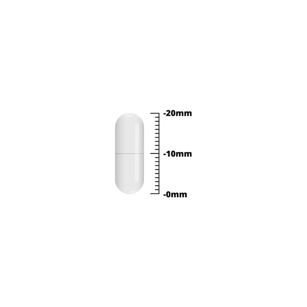 Brain Power Variatie Bundel - Natuurlijke Supplementen voor het Brein