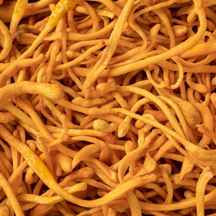 Cordyceps energy & focus boost