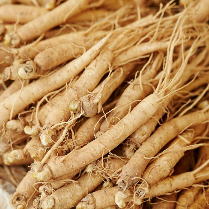 panax ginseng energy & focus boost