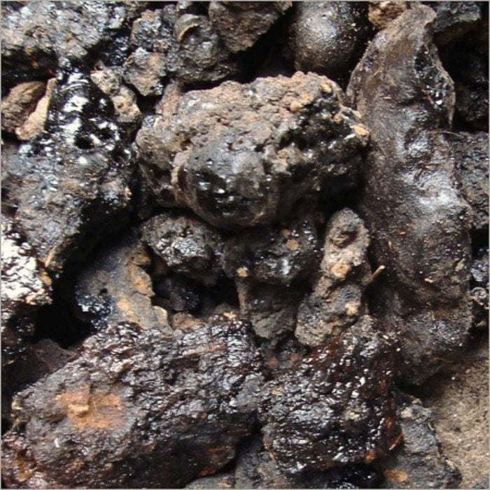 Shilajit natuurlijke vorm