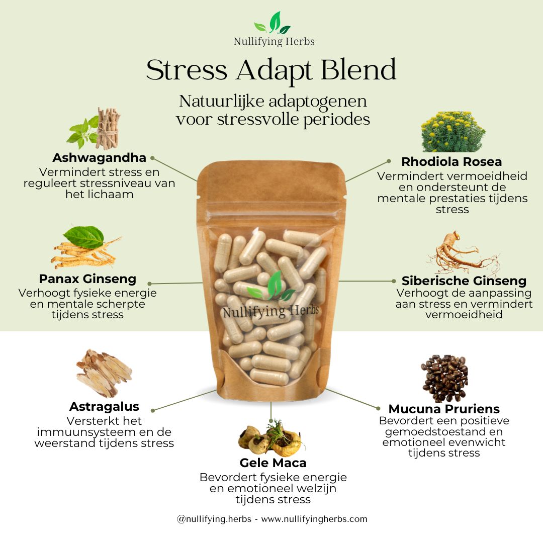 Stress Adapt Blend - Natuurlijke Adaptogenen voor Meer Veerkracht