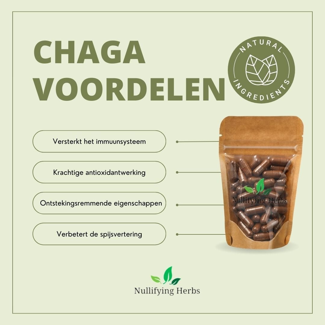 Chaga - Antioxidant Rijke Paddenstoel - Nullifying Herbs