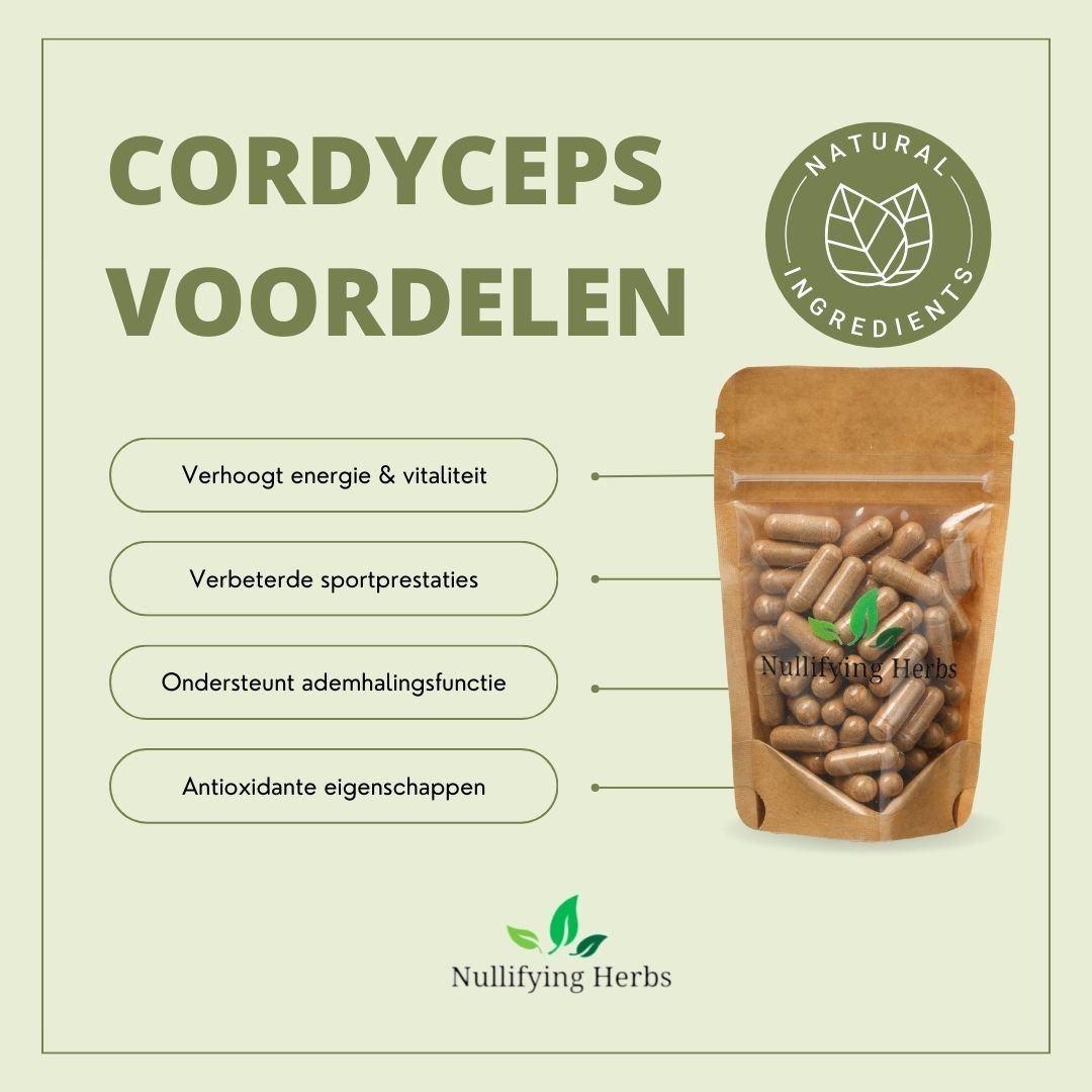 Cordyceps - Energiegevende Paddenstoel - Nullifying Herbs